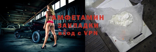 индика Инсар