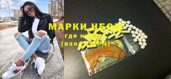 индика Инсар