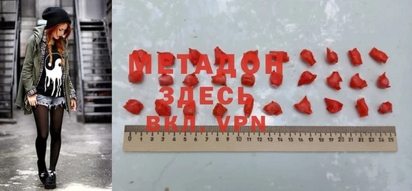 индика Инсар