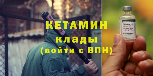 индика Инсар