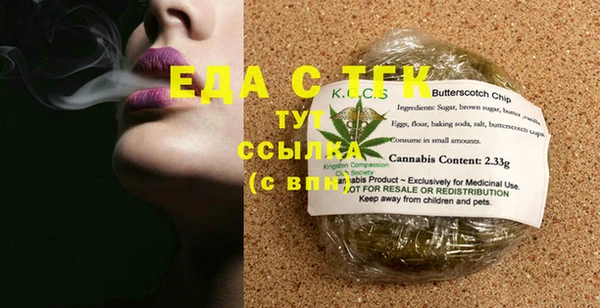 индика Инсар