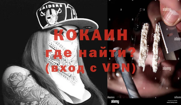 дурь Инта