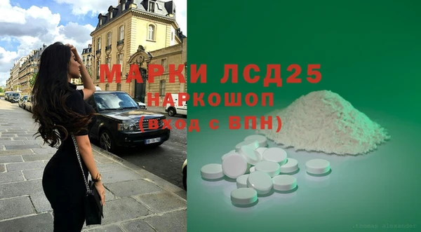 индика Инсар